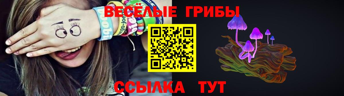 Псилоцибиновые грибы Psilocybine cubensis  Вход с VPN  Вышний Волочёк 